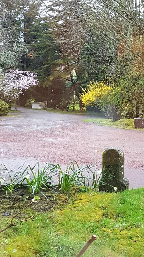 Hotel Le Manoir Du Rodoir La Roche-Bernard Zewnętrze zdjęcie